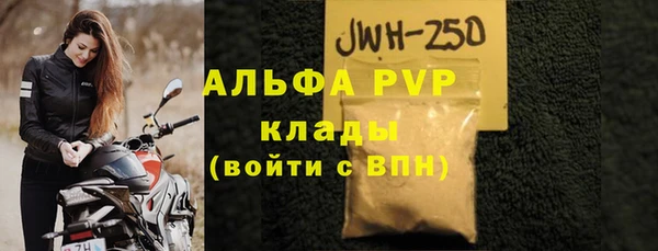СК Аркадак