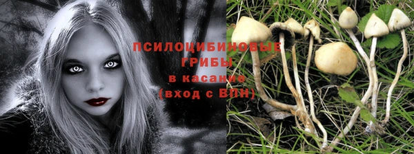 СК Аркадак