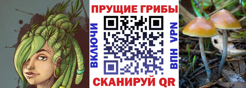 Псилоцибиновые грибы Psilocybe  кракен   Салехард 